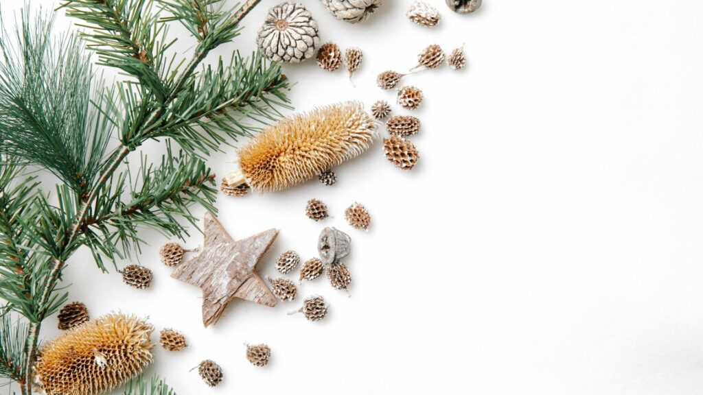 green nature aesthetic