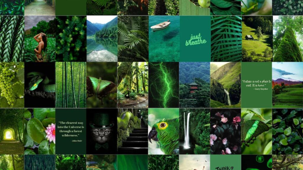 Dark green interior and fashion aesthetic